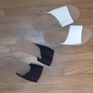 Shade & Shore Slides